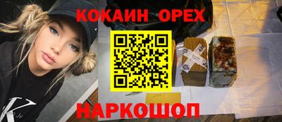 крисы Можга