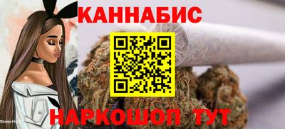 крисы Можга