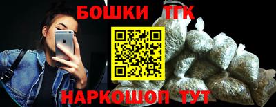крисы Можга