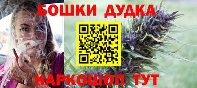 крисы Можга