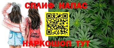 ECSTASY Моздок