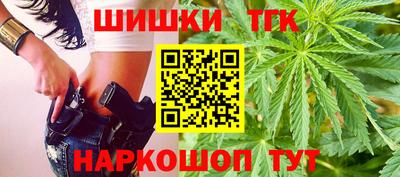 крисы Можга