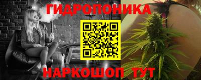 крисы Можга