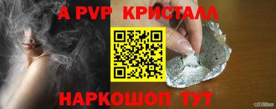 крисы Можга
