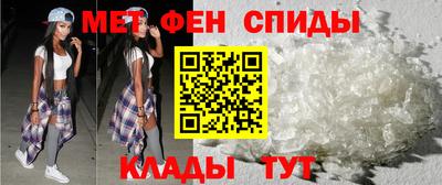 крисы Можга