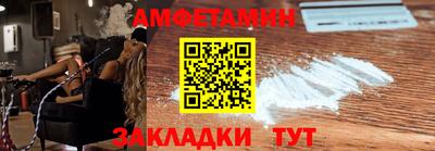 крисы Можга