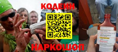 крисы Можга