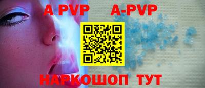 крисы Можга