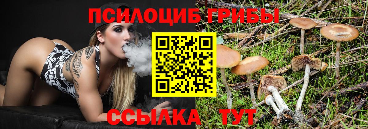 Галлюциногенные грибы прущие грибы Черняховск