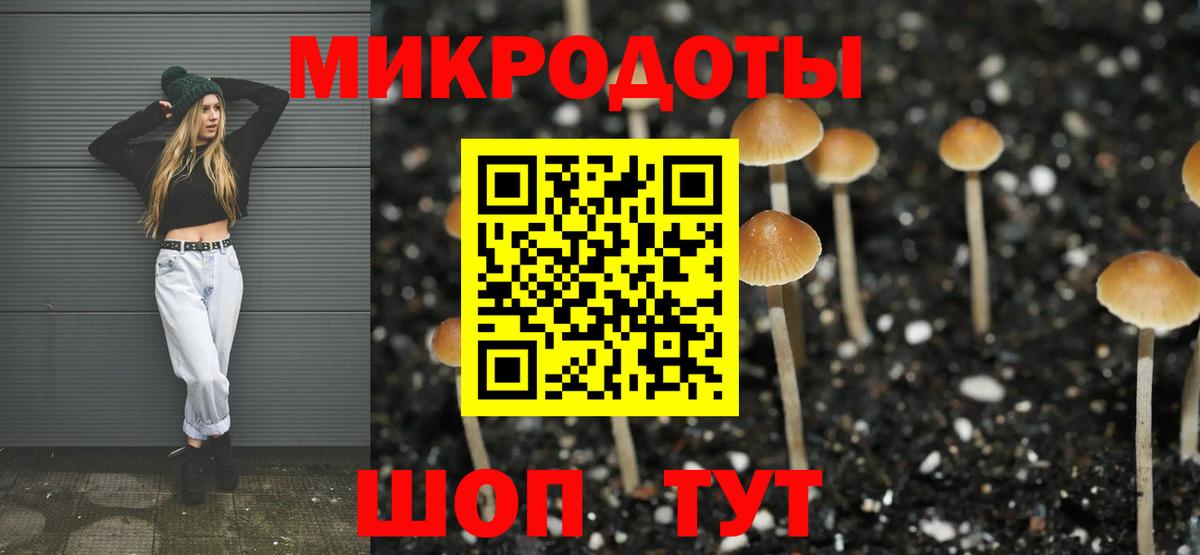 Черняховск  Галлюциногенные грибы Psilocybe  Вход с VPN  Галлюциногенные грибы Psilocybe 